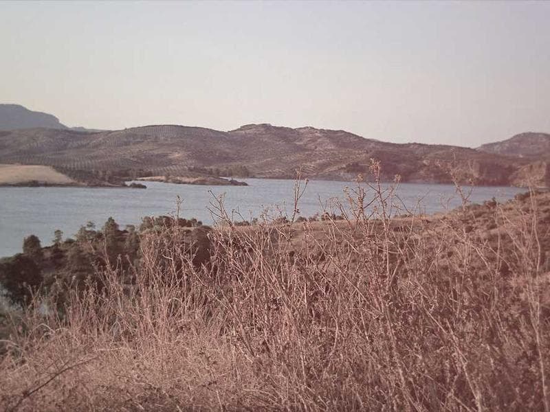 Apple AirPods Pro 2 (USB-C) - Küçük görsel 2