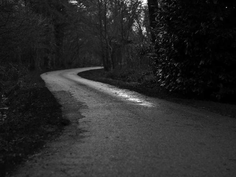 Bose QuietComfort Ultra Headphones - Bidimax açık artırma ürünü