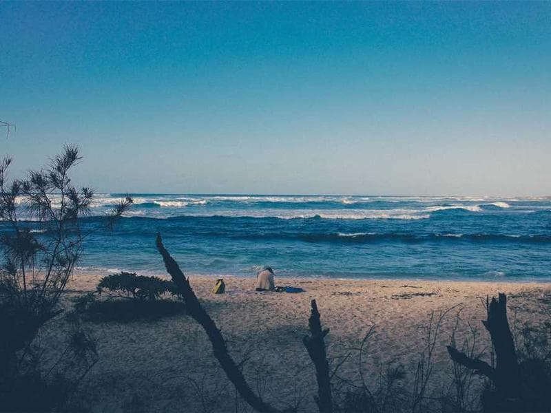 Canon EOS R6 Mark II Body Only - Küçük görsel 3