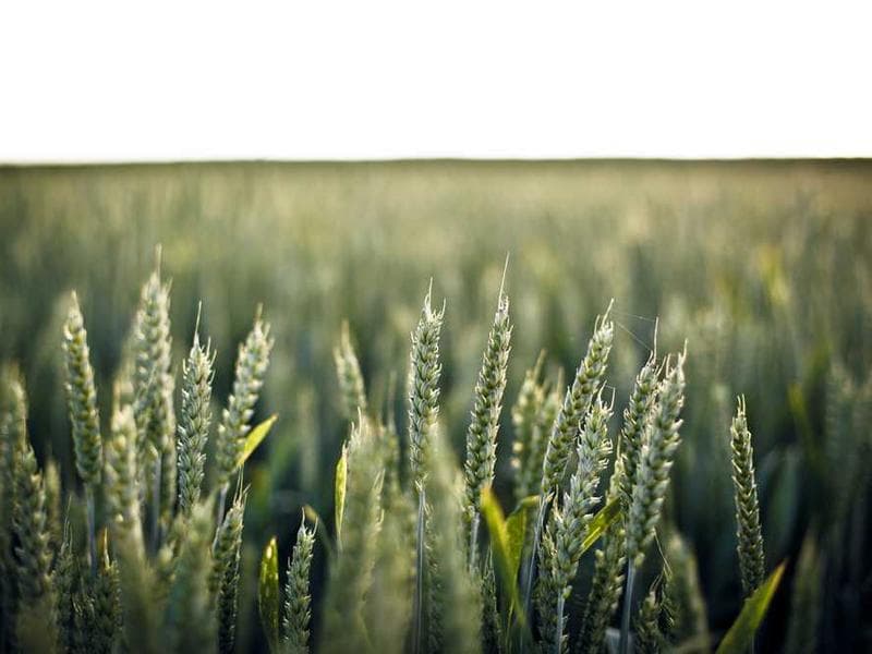 DJI Mini 4 Pro Fly More Combo - Küçük görsel 2