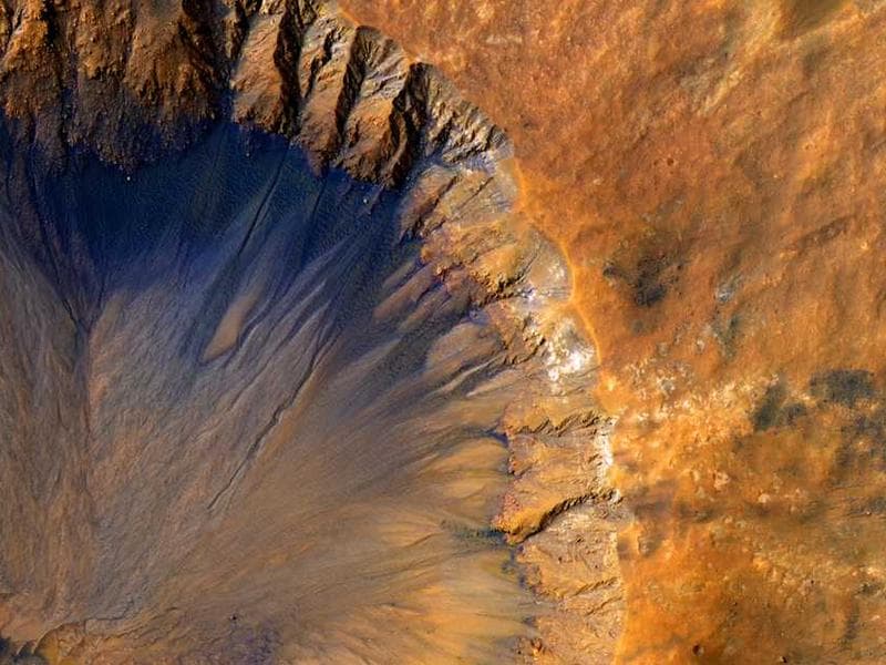 Dyson V15 Detect Absolute - Bidimax açık artırma ürünü